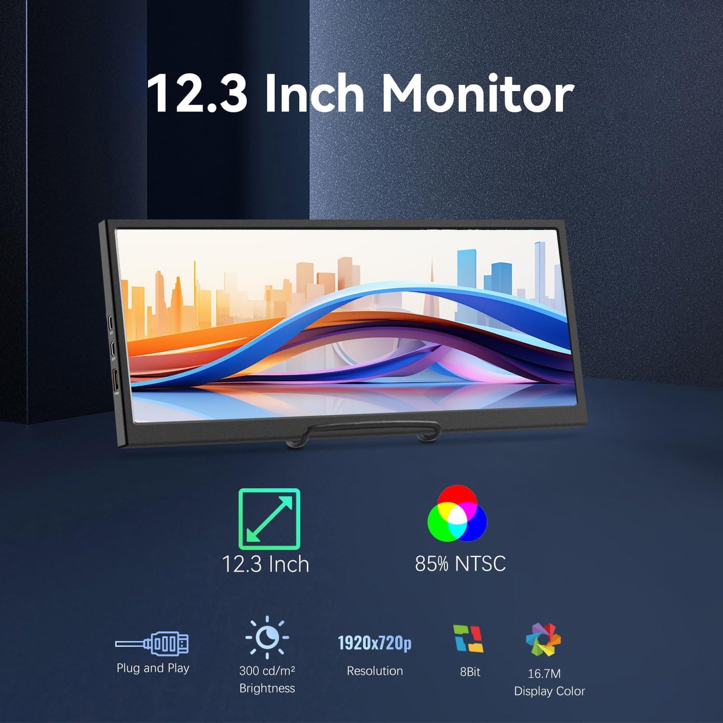 12.3" IPS Stretched Secondary Monitor