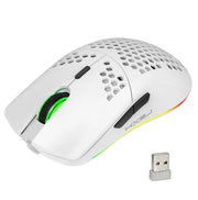 White Starter Bundle